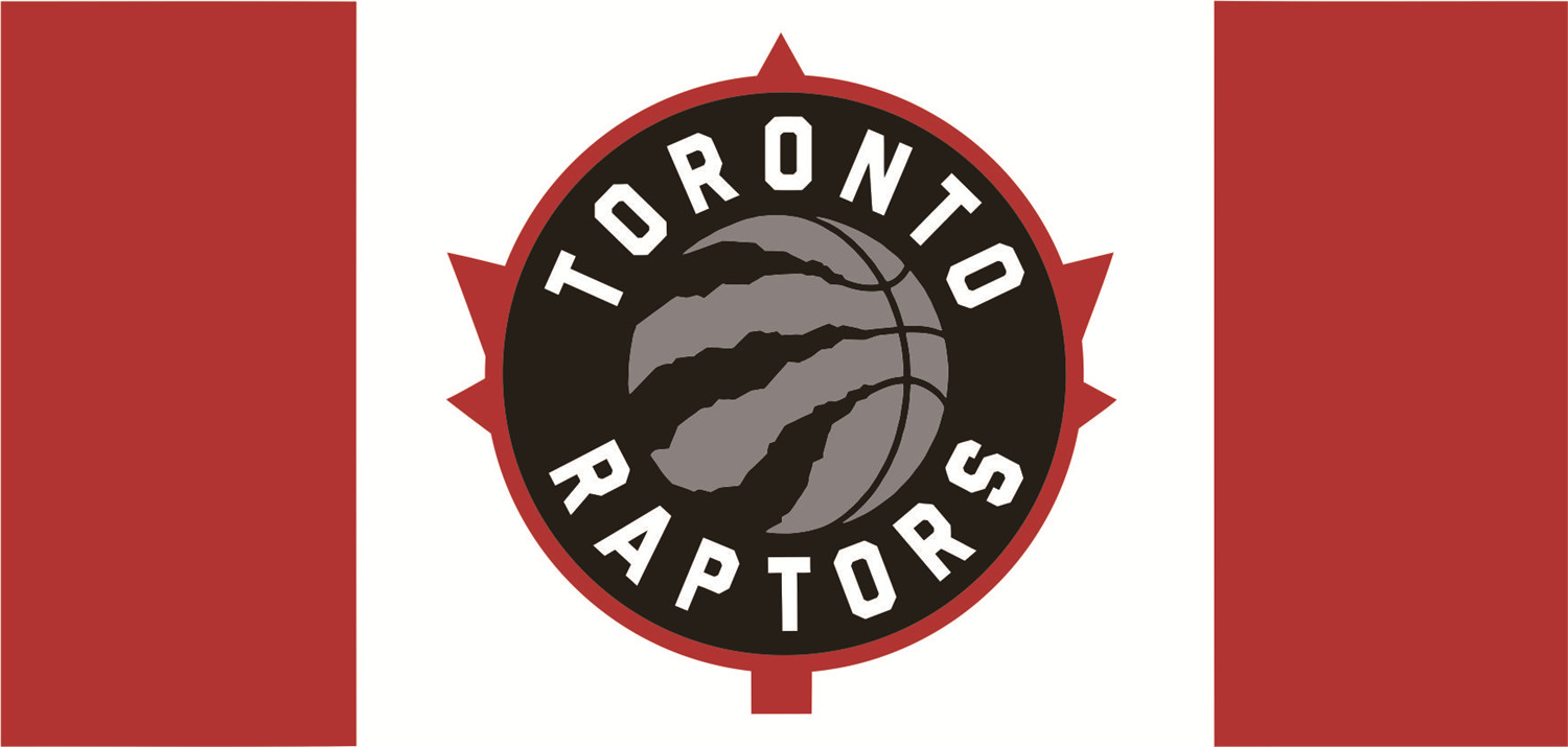 Toronto Raptors Flags DIY iron on transfer (heat transfer)